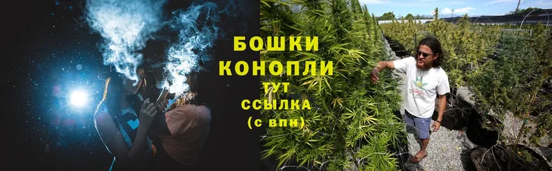 Конопля Bruce Banner  мориарти официальный сайт  Бирюсинск 